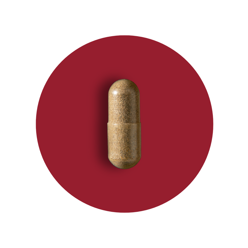 Blood Sugar Health