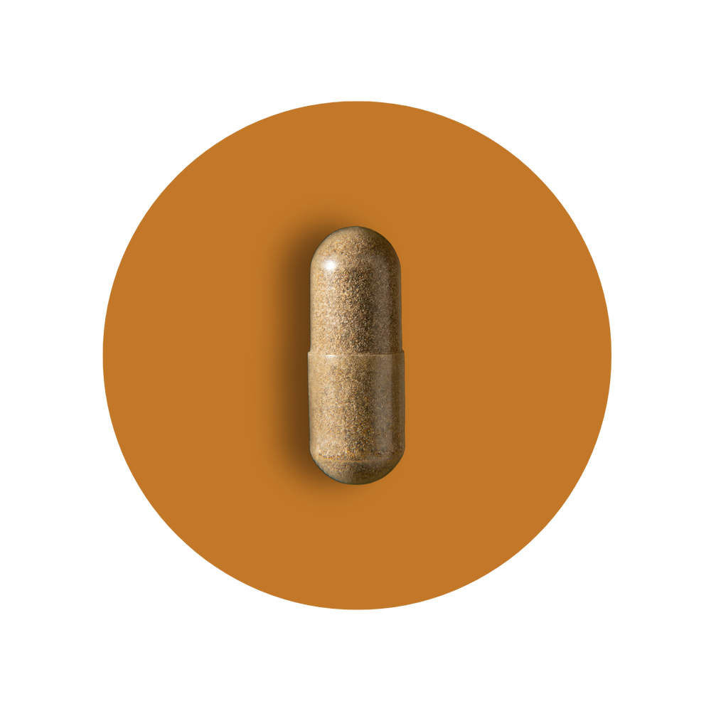 Lions Mane Mushroom Capsules