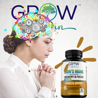 Support for Brain Health