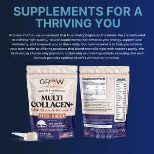 Multi Collagen+ Powder