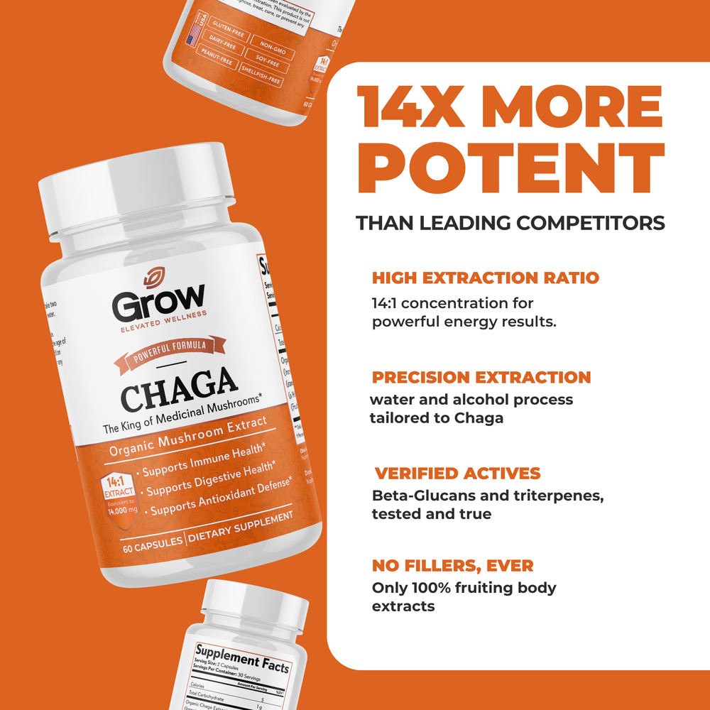 Chaga Mushroom Extract Capsules