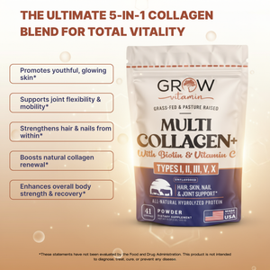 Multi Collagen+ Powder