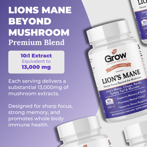 Lions Mane Mushroom Complex