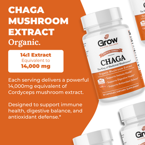 Chaga Mushroom Extract Capsules