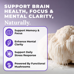 Lions Mane Mushroom Complex