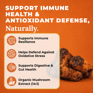 Chaga Mushroom Extract Capsules