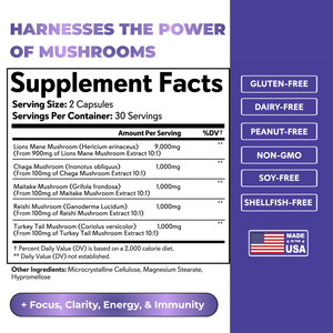 Lions Mane Mushroom Complex