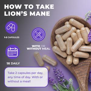 Lions Mane Mushroom Complex