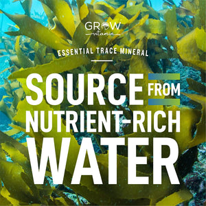 Organic Sea Kelp (Icelandic) Enhanced Grow Vitamin