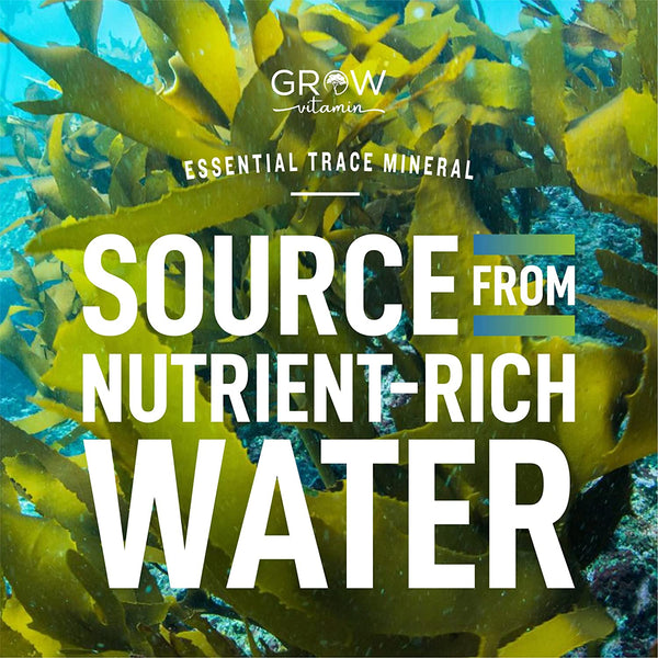 Organic Sea Kelp (Icelandic) Enhanced Grow Vitamin