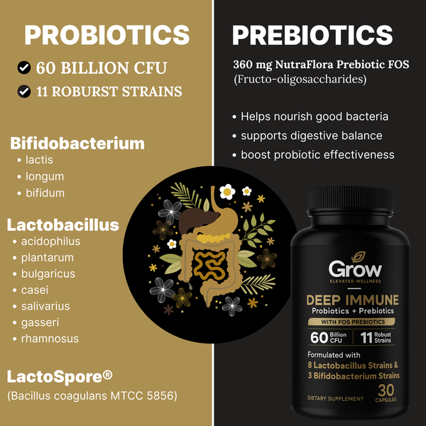 Product packaging with probiotics and prebiotics information on a black and gold background