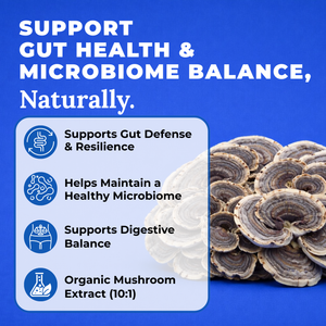 Mushroom extract for gut health and microbiome balance on a blue background