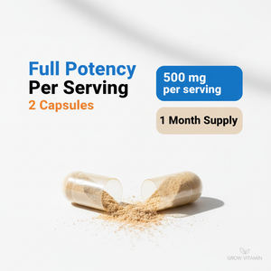Two capsules with a powder spilling out, labeled 'Full Potency Per Serving' and '500 mg per serving'.