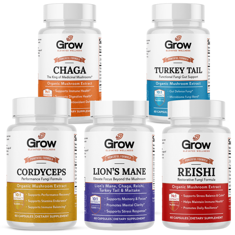 Science meets tradition in our whole-mushroom supplements and organic mushroom blends.