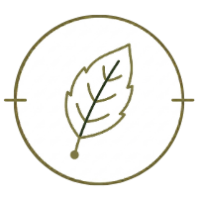 Logo with a leaf design inside a circle on a white background