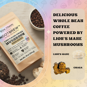 Nootbrew coffee package with lion's mane and chaga mushrooms on a colorful background