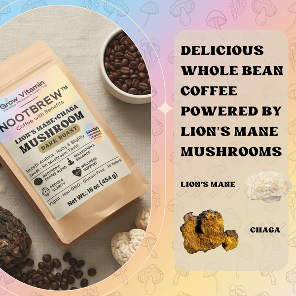 Nootbrew coffee package with lion's mane and chaga mushrooms on a colorful background