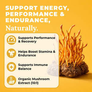 Mushroom extract with text on a yellow background highlighting its benefits.